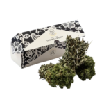 bouquet di origano - Matese Officinale