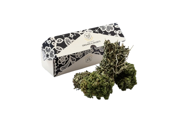 bouquet di origano - Matese Officinale